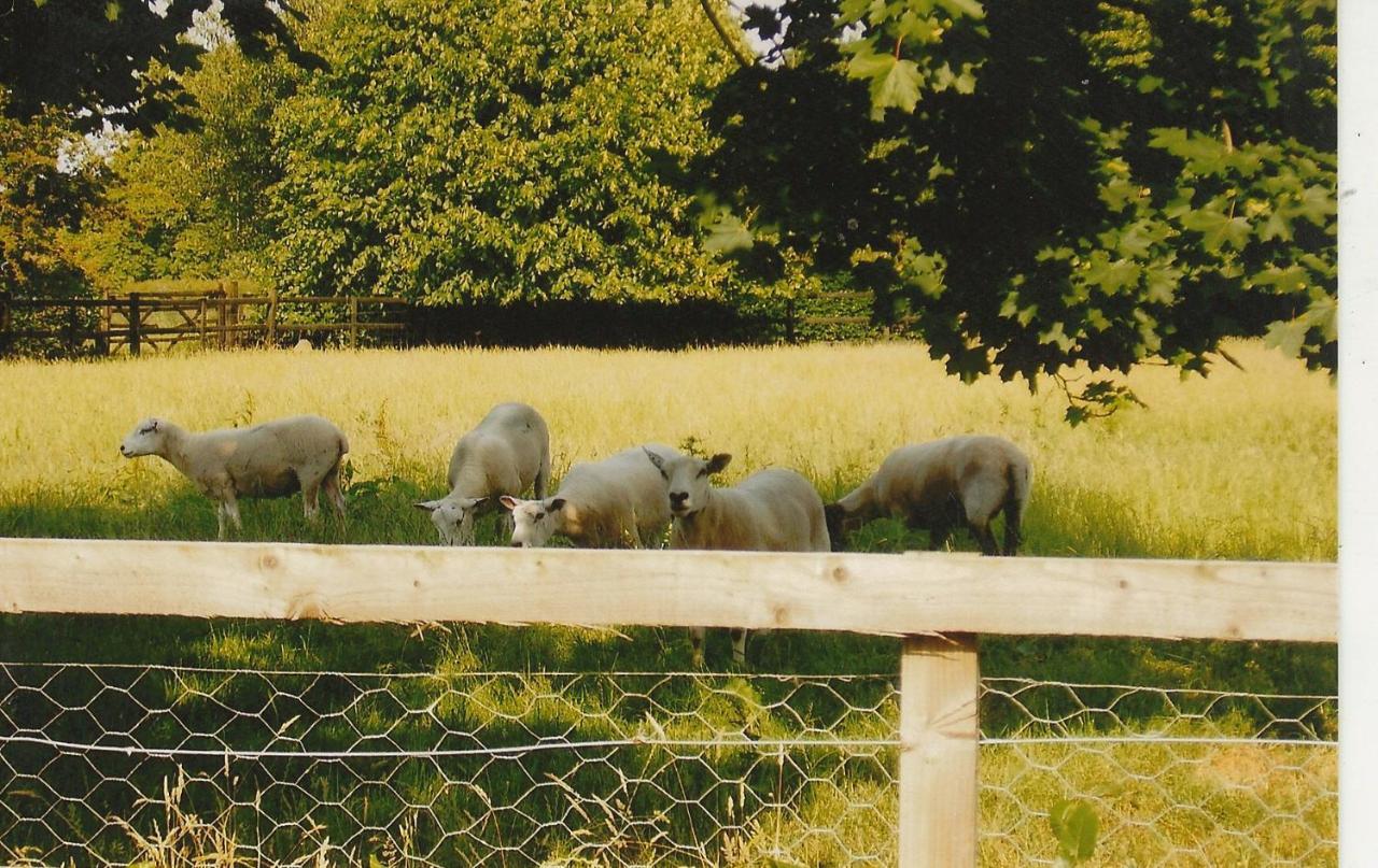 Bank Farm Cottages Nantwich Bagian luar foto